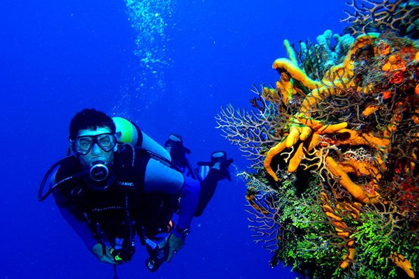 Marmaris Scuba Diving