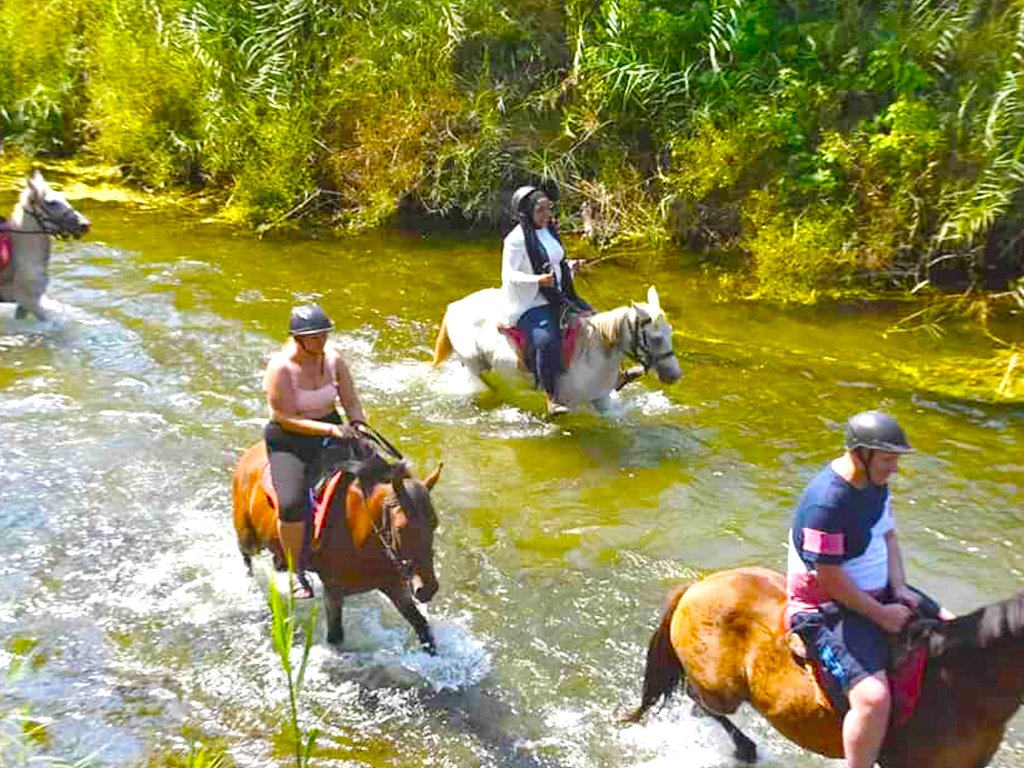 Marmaris Horse Safari